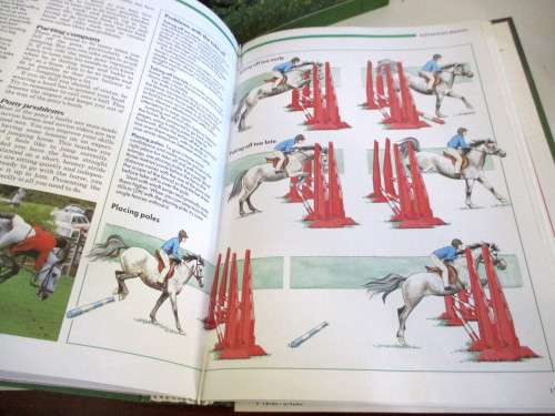 1980's Full Set #1-85 Horse Sense Magazines. Three Binders. Excellent Condition. Collectors Item.