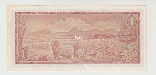 1973 South African One Rand Note - t w de Jongh
