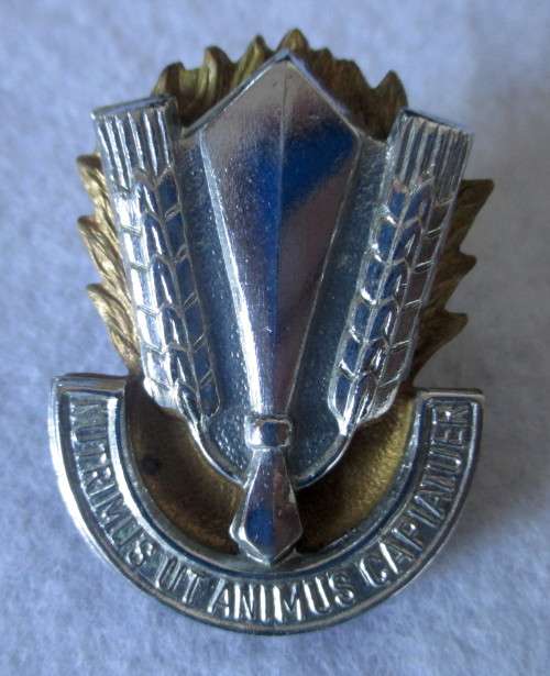 South Africa Africa military badge ` NUTRIMUS UT ANIMUS CAPIATUER `