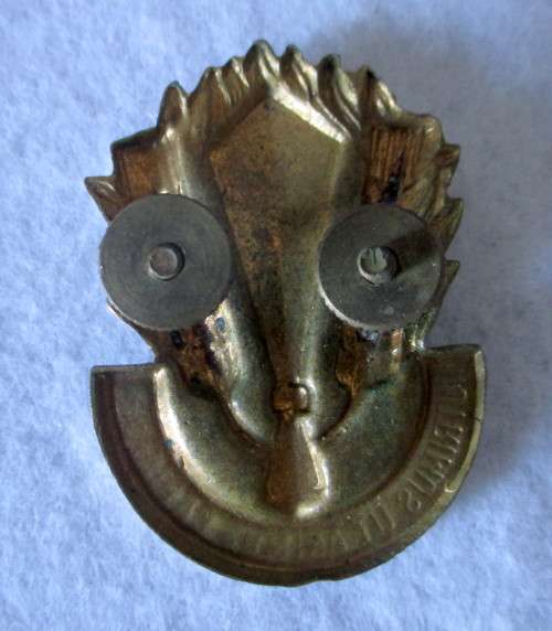 South Africa Africa military badge ` NUTRIMUS UT ANIMUS CAPIATUER `