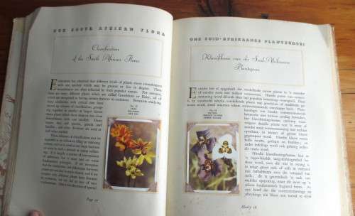 1940`s Our South African Flora Card Album. English and Afrikaans. 100 pages.