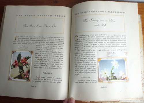1940`s Our South African Flora Card Album. English and Afrikaans. 100 pages.