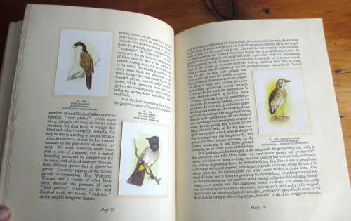 1940`s Our South African Birds Card Album. English and Afrikaans. 106 pages. Extra loose cards.