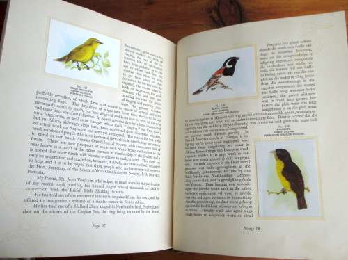 1940`s Our South African Birds Card Album. English and Afrikaans. 106 pages. Extra loose cards.