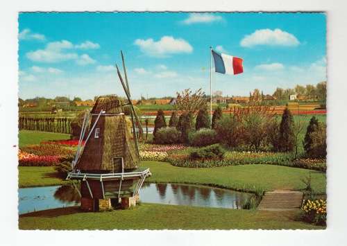 Vintage Postcard - Holland. Land of Flowers and Windmills.