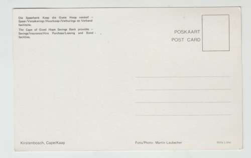 Vintage Unused Postcard - Kirstenbosch Cape Town