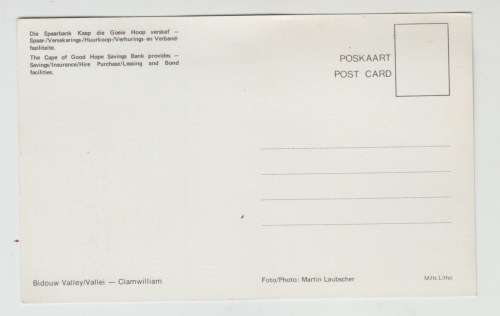 Vintage Unused Postcard - Bidouw Valley - Clamwilliam