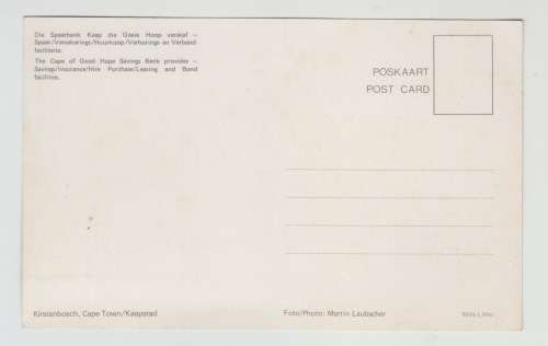 Vintage Unused Postcard - Kirstenbosch Cape Town