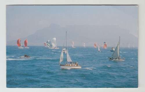 Vintage Unused Postcard - Yachts in Table Bay