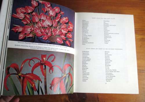 Bulbs For the gardener Eliovson, Sima. 1967 First Edition. 249p.