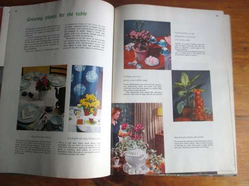 Better Homes House Plants Edited by Leslie Jones 1966  160p.
