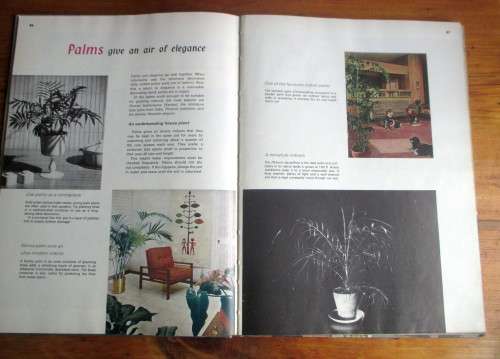 Better Homes House Plants Edited by Leslie Jones 1966  160p.