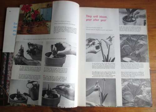 Better Homes House Plants Edited by Leslie Jones 1966  160p.