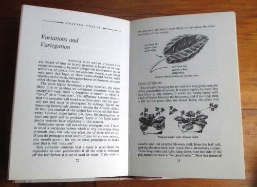 How to grow African Violets, Carolyn Rector. 1961  95p.