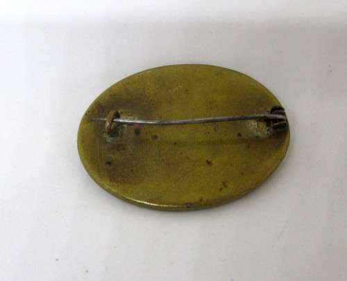 Antique Mother of Pearl Brooch, set in Brass. 42x30mm.