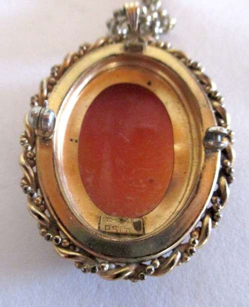 Shell Cameo pendant/brooch with chain. 2.5 cms x 3 cms. Signed PS CO 1/20 10K GF