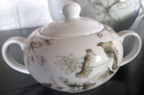 Sabichi Porcelain Teapot Set. Classy. Spotless.