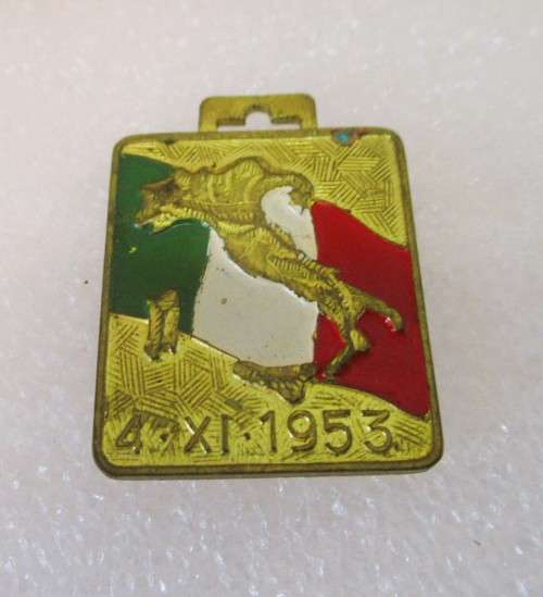 Medaglia Spilla 1953 Ass. Darma E Combattentistiche Pellegrinaggio Nazionale Pe Medallion