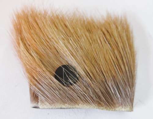Metal Springbok head on Real Springbok hair cuff with stutts. 15cm. Marked with name. Unique.