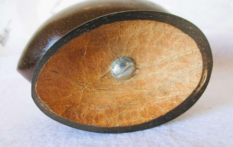 Unique Vintage coconut shell handmade Jewelry Casket with Cobalt Blue satin inner. 130x100mm