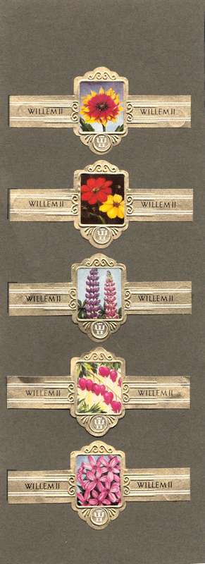 Vintage Flower Themed Wilhelm II Cigar Labels, Paper Tobacco Ephemera, Glued to page. Lot of 5. 1950
