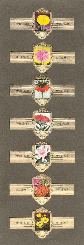 Vintage Flower Themed Wilhelm II Cigar Labels, Paper Tobacco Ephemera, Glued to page. Lot of 7. 1950