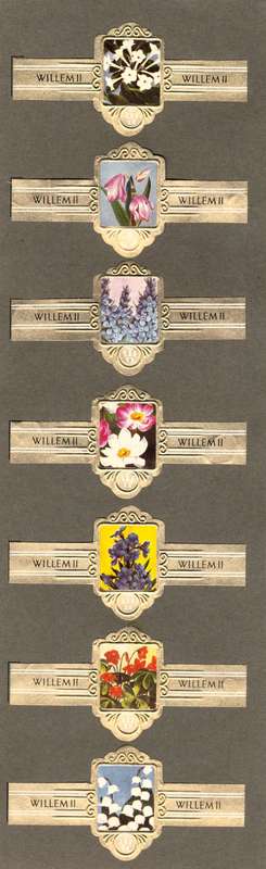 7 Vintage Flower Themed Wilhelm II Cigar Labels, Paper Tobacco Ephemera, Glued to page. 1950`s.
