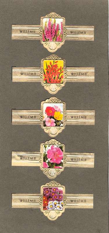 5 Vintage Flower Themed Wilhelm II Cigar Labels, Paper Tobacco Ephemera, Glued to page. 1950`s.