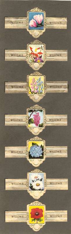 7 Vintage Flower Themed Wilhelm II Cigar Labels, Paper Tobacco Ephemera, Glued to page. 1950`s.