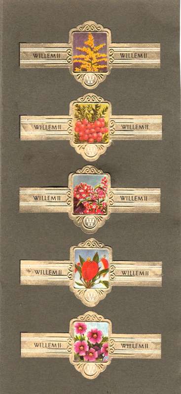 Vintage Flower Themed Wilhelm II Cigar Labels, Paper Tobacco Ephemera, Glued to page. Lot of 5. 1950