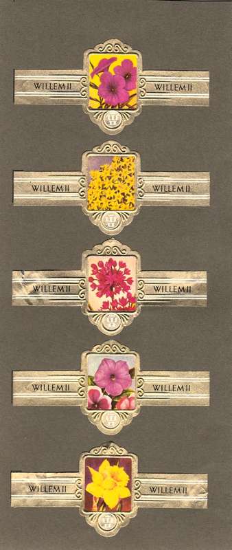 Vintage Flower Themed Wilhelm II Cigar Labels, Paper Tobacco Ephemera, Glued to page. Lot of 5. 1950