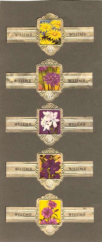 Vintage Flower Themed Wilhelm II Cigar Labels, Paper Tobacco Ephemera, Glued to page. Lot of 5. 1950