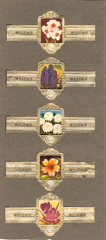 Vintage Flower Themed Wilhelm II Cigar Labels, Paper Tobacco Ephemera, Glued to page. Lot of 5. 1950