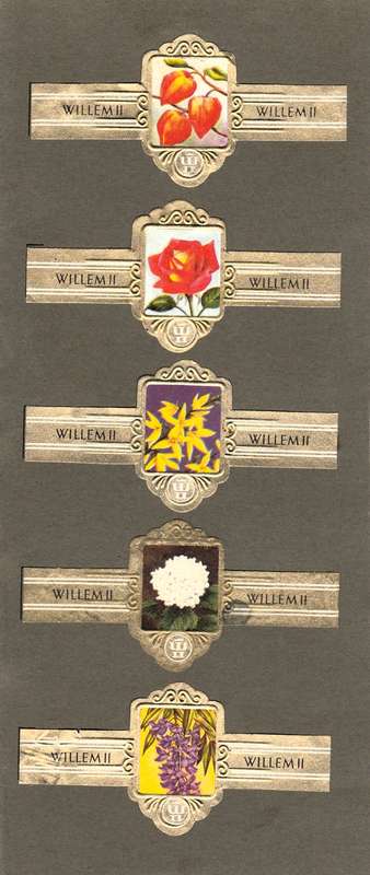 Vintage Flower Themed Wilhelm II Cigar Labels, Paper Tobacco Ephemera, Glued to page. Lot of 5. 1950