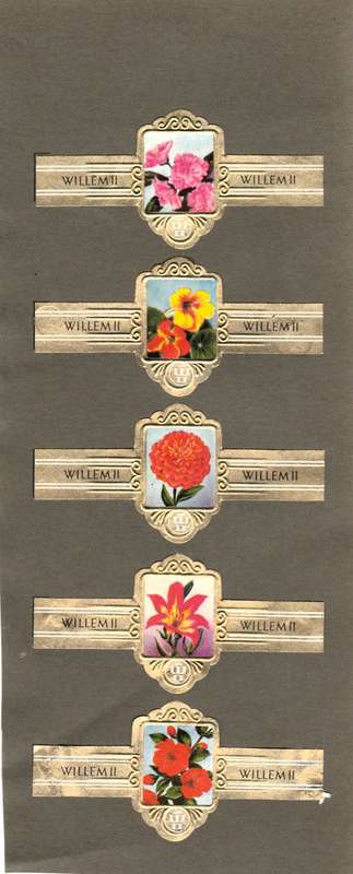 Vintage Flower Themed Wilhelm II Cigar Labels, Paper Tobacco Ephemera, Glued to page. Lot of 5. 1950