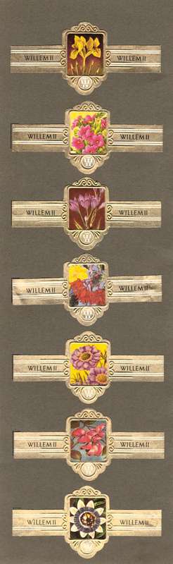 7 Vintage Flower Themed Wilhelm II Cigar Labels, Paper Tobacco Ephemera, Glued to page. 1950`s.