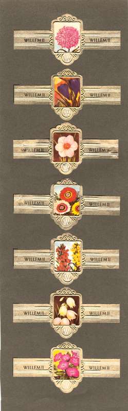7 Vintage Flower Themed Wilhelm II Cigar Labels, Paper Tobacco Ephemera, Glued to page. 1950`s.
