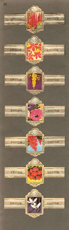 7 Vintage Flower Themed Wilhelm II Cigar Labels, Paper Tobacco Ephemera, Glued to page. 1950`s.