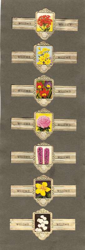 7 Vintage Flower Themed Wilhelm II Cigar Labels, Paper Tobacco Ephemera, Glued to page. 1950`s.