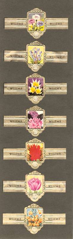 7 Vintage Flower Themed Wilhelm II Cigar Labels, Paper Tobacco Ephemera, Glued to page. 1950`s.