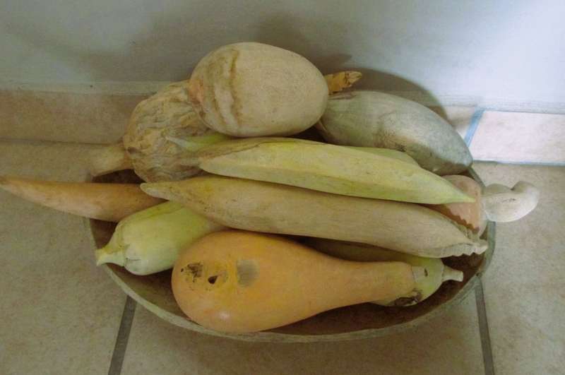 Mid century 12 pieces of vintage carved wooden fruit/vegetables/tray. Unique decor.