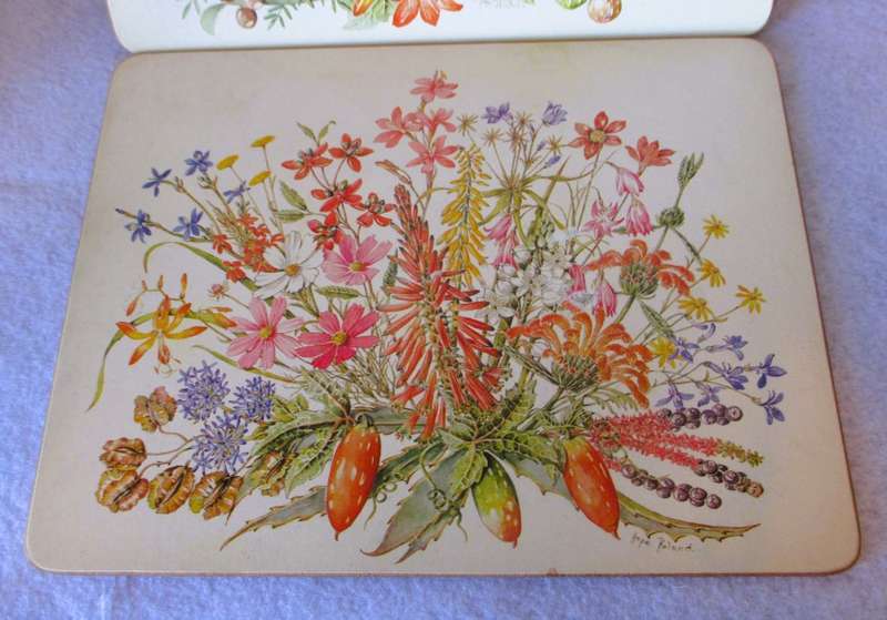Vintage Cork Backed Placemats Wild Flowers of the Veld Boxed Gift Set of 5.