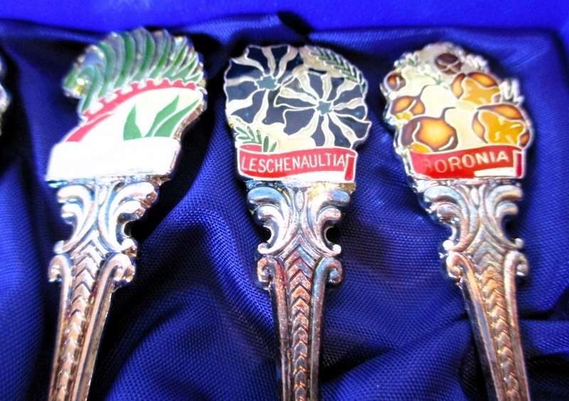 Western Australia Wildflowers set of 6 spoons. Vintage silver plate set. Made in NZ.