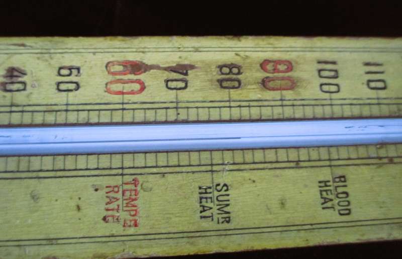 Vintage Barthermometer Fahrenheit, with a bit of humor. 250 x45mm