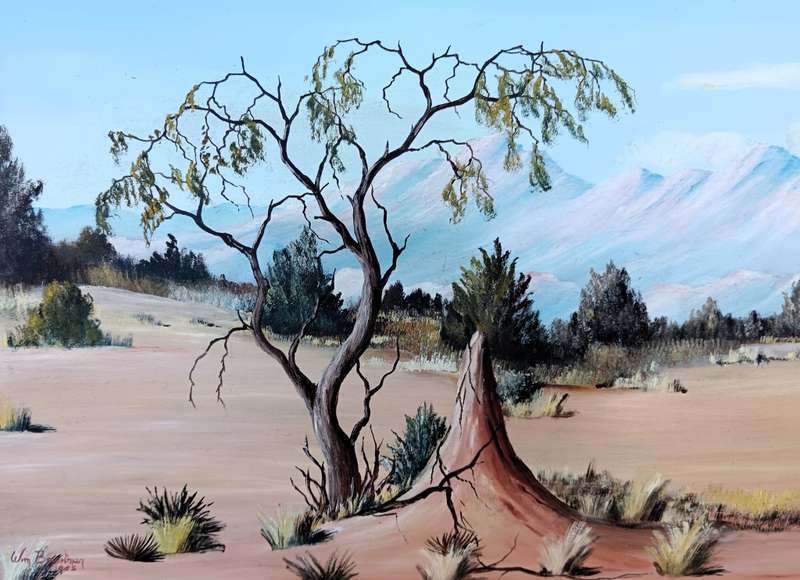 Vintage Wim Baartman 1950 Namibian scene oil painting- frame 76x55cm, painting 60x39cm. As per photo