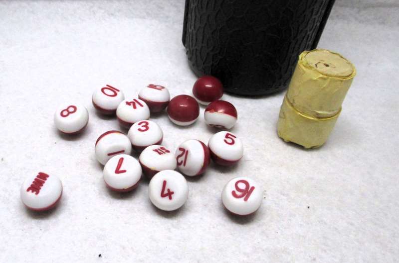 Pea Shaker Bottle with 16 Numbered Peas Pool Accessories
