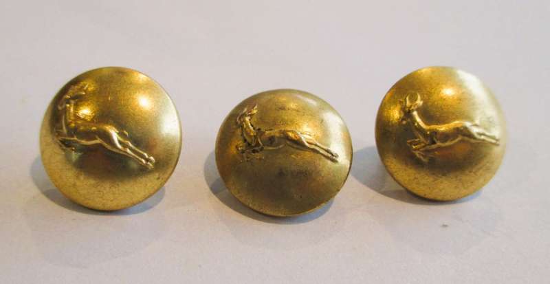 3 x South African Infantry Springbok 16mm Gilt Buttons by Metal Art Pretoria