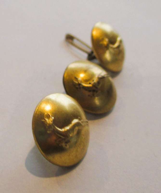 3 x South African Infantry Springbok 16mm Gilt Buttons by Metal Art Pretoria