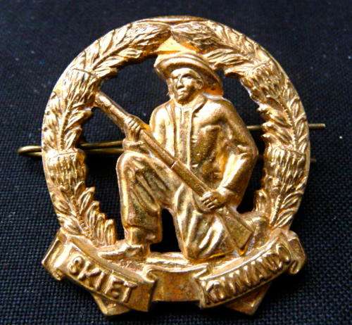 Citizen Force SA Infantry Beret badge