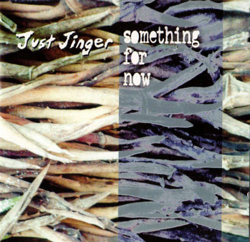 Just Jinger - Something For Now (CD)